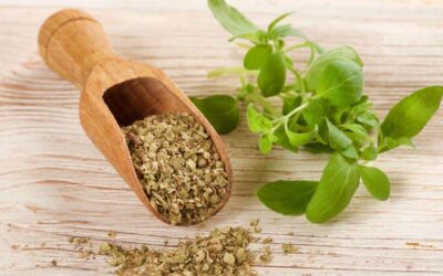 Oregano: 10 Powerful Ways This Everyday Herb Supports Whole-Body Wellness